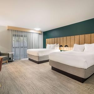 Queen Room Two Queen Beds Walk Shower Disability Access